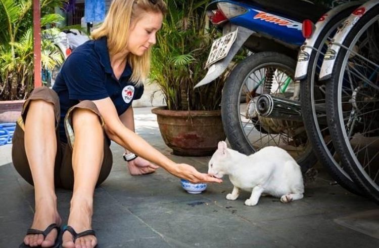 Woman Feeding A Cat